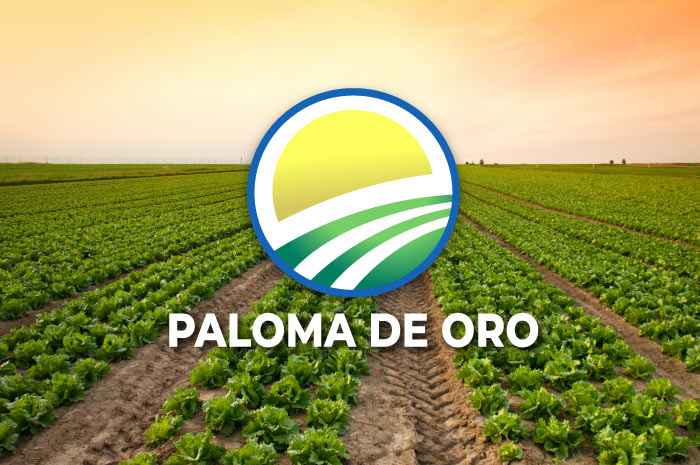 paloma de oro foods, in california, USA